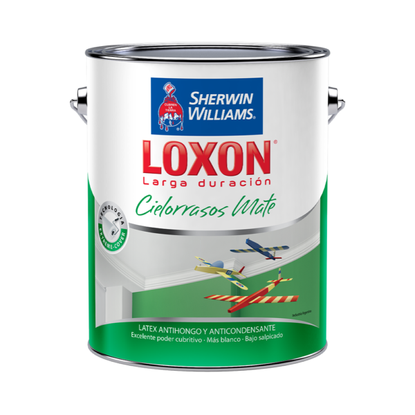 Loxon LD Cielorrasos