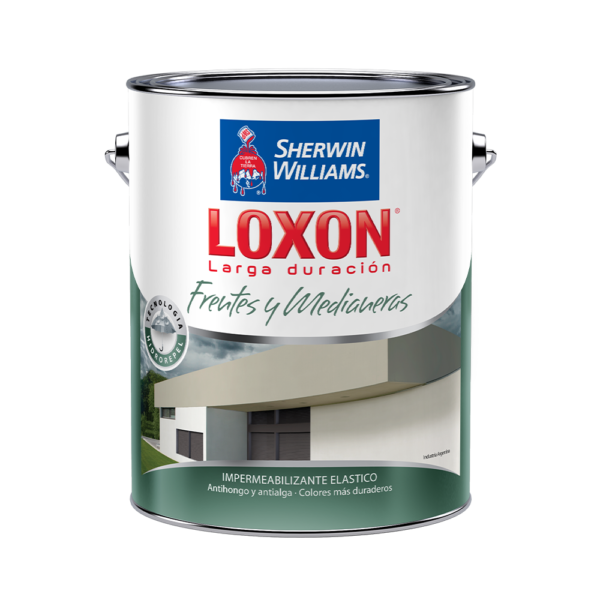 Loxon LD Frentes y Medianeras